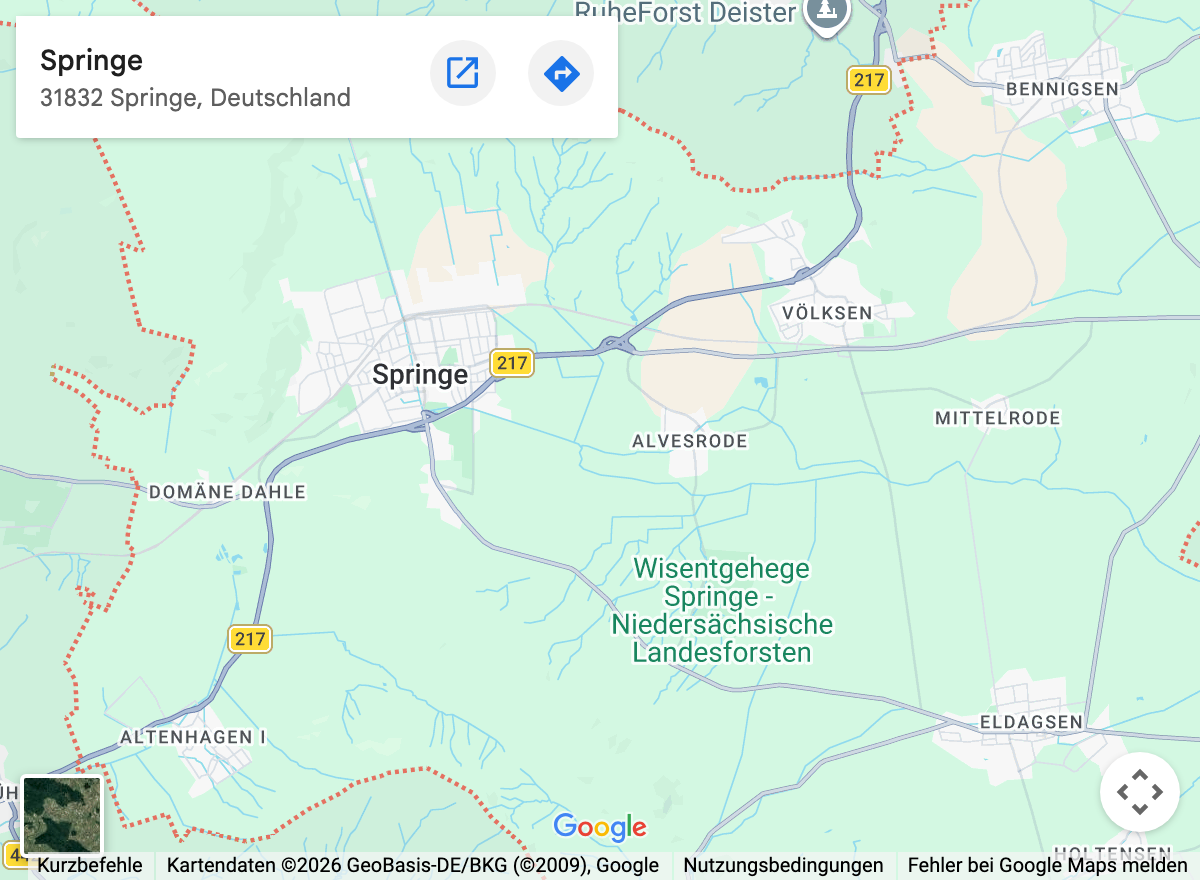 Google-Maps-Kartenausschnitt: Springe und Umgebung